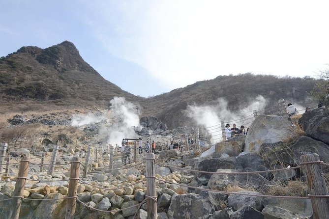 Hakone Full-Day Private Tour(Tokyo Dep.) With Government-Licensed Guide - Cancellation Policy
