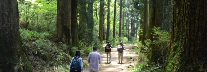 Hakone Geology & History Tour - Who Will Love This Tour?