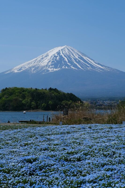 Hakone & Gotemba Premium Outlets One-Day Tour - Hakone and Gotemba make an unusual day pairing