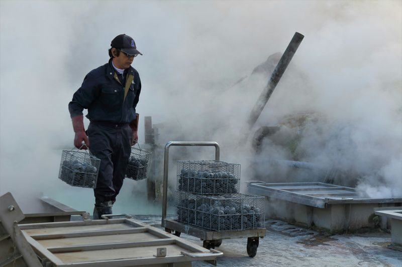 Hakone & Gotemba Premium Outlets One-Day Tour - Who should book this private day tour?