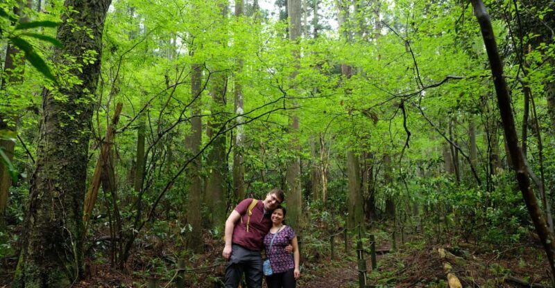 Hakone Hachiri: Old Tokaido Highway Hiking Half-day tour - In-Depth Look at Each Stop