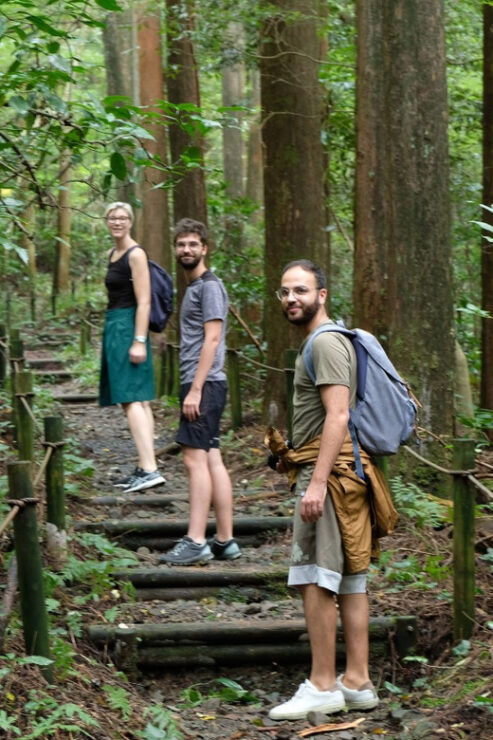 Hakone Hachiri: Old Tokaido Highway Hiking Tour - Good To Know