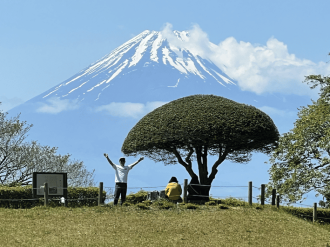Hakone Hachiri: Old Tokaido Highway Hiking Tour - Key Stops Along the Route