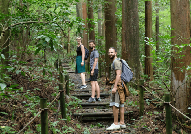 Hakone Hachiri: Old Tokaido Highway Hiking Tour - Booking Information