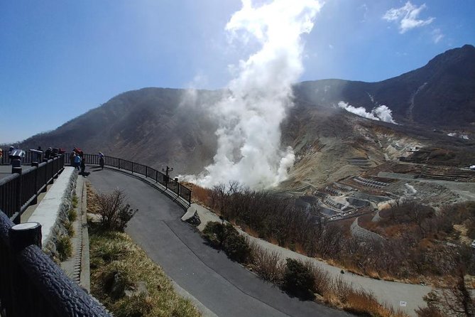 Hakone Highlights Private Tour - Time and Effort Savings