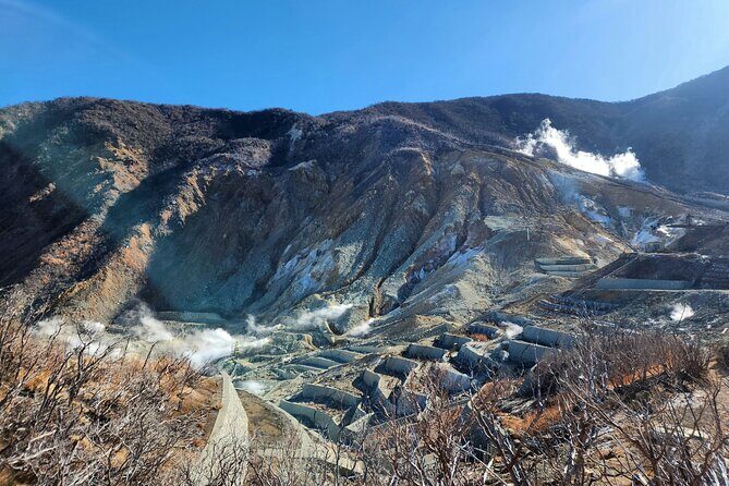 Hakone Luxury Exclusive Tour Full Day with Chauffeured Vehicle - A Deep Dive Into the Hakone Luxury Experience