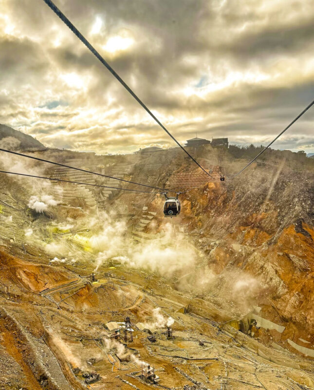 Hakone & Mount Fuji Area Day Trip: Owakudani Ropeway & Hakone Shrine & Nichikawa Clock Shop & Arakurayama Sengen Park, Departing from Tokyo - The pirate ship is scenic, but costs extra