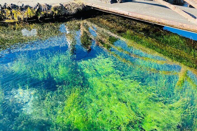 Hakone & Mount Fuji Day Trip:Lake Ashi Torii Gate & Oshino Hakkai - Good To Know