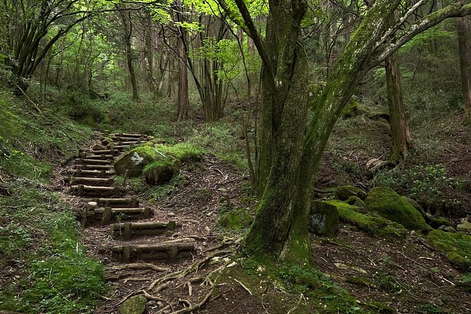 Hakone Old Tokaido Road and Volcano Full-Day Hiking Tour - Common Questions