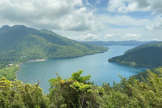 Hakone Old Tokaido Road and Volcano Half-Day Hiking Tour - Tour Overview