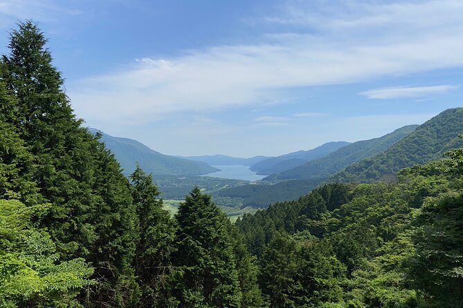 Hakone Old Tokaido Road and Volcano Half-Day Hiking Tour - Cancellation Policy