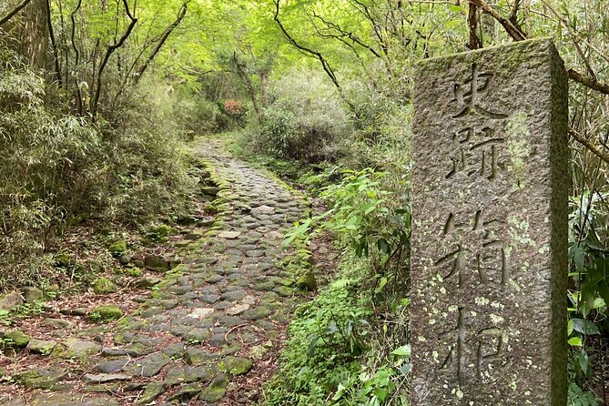 Hakone Old Tokaido Road and Volcano Half-Day Hiking Tour - Reviews and Ratings