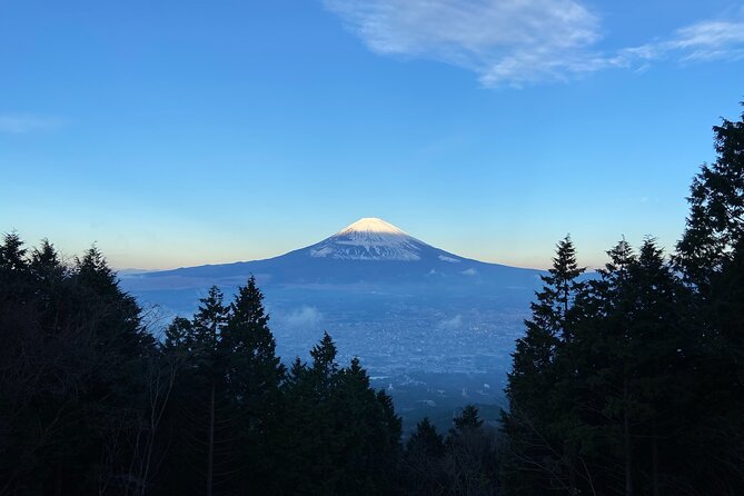 Hakone Old Tokaido Road and Volcano Half-Day Hiking Tour - Review Verification