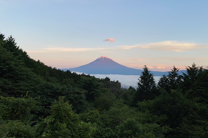 Hakone Old Tokaido Road and Volcano Half-Day Hiking Tour - Terms and Conditions