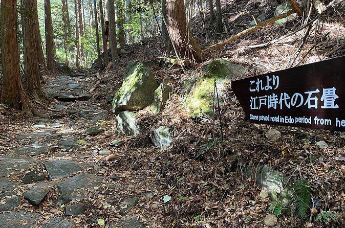 Hakone Old Tokaido Road Hiking Tour to Hakone Shrine - FAQ