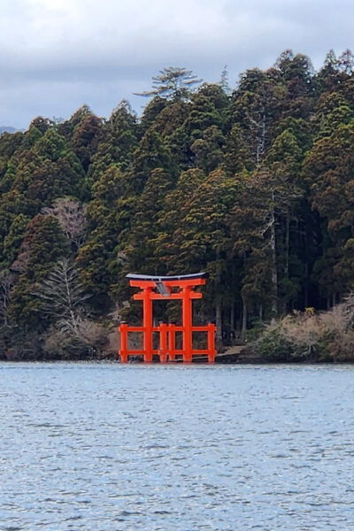 Hakone One Day Private Tour With English Speaking Driver - Refreshments and Amenities