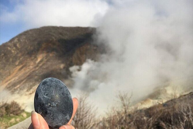 Hakone-Owakudani and Lake Ashi Guided Tour-Van - Good To Know