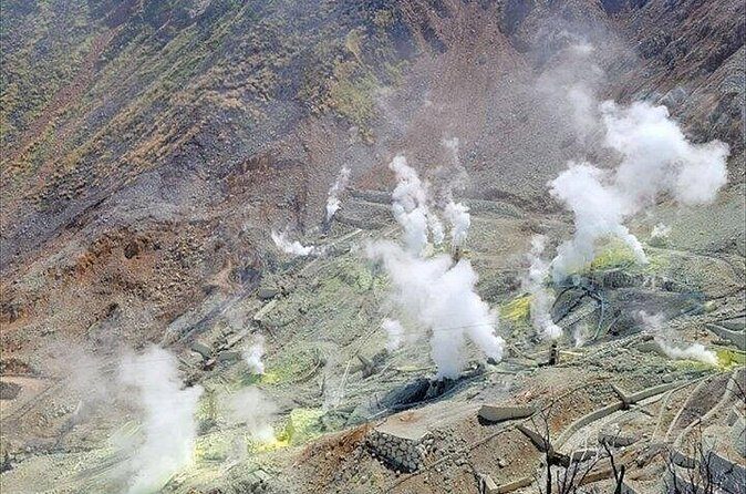 Hakone-Owakudani and Lake Ashi Guided Tour-Van - Who Is This Tour Best For?