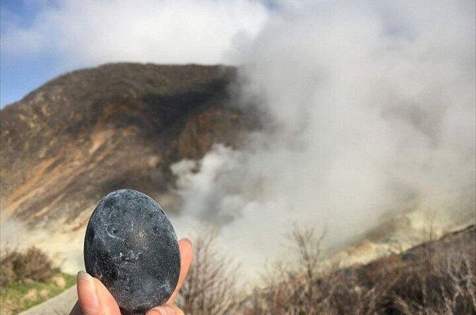 Hakone-Owakudani and Lake Ashi Guided Tour-Van - Final Thoughts