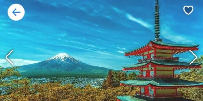 Hakone Private Custom Tour With English Speaking Guide - Customer Feedback