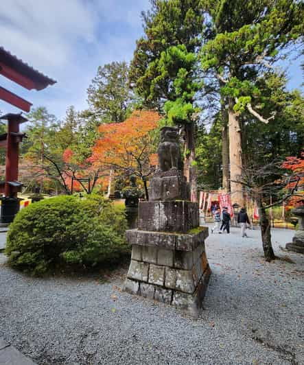 Hakone Private Day Tour With English Speaking Driver - Good To Know