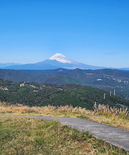 Hakone Private Day Tour With English Speaking Driver - Pickup and Drop-off Locations