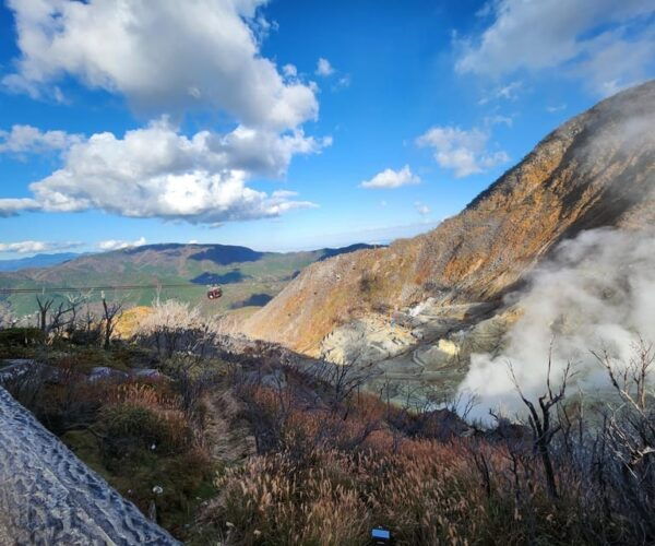 Hakone Private Day Tour With English Speaking Driver - Travel Tips