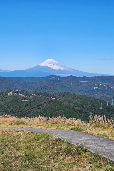 Hakone Private Day Tour With English Speaking Driver - Customer Reviews