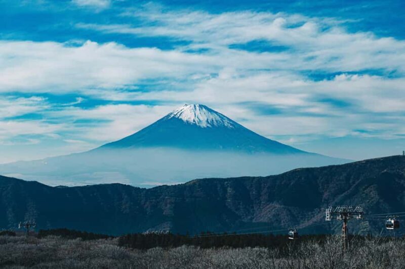 Hakone Private Tour: Bespoke Day from Your Hotel - Pricing and Value
