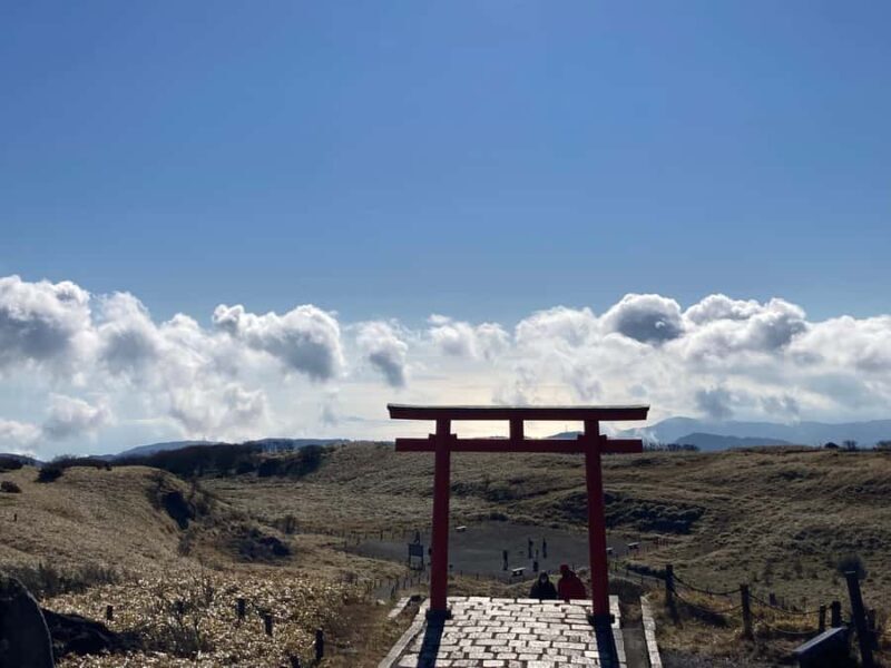 Hakone Private Tour: Bespoke Day from Your Hotel - Who Will Love This Tour?