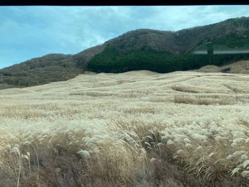 Hakone Private Tour: Bespoke Day from Your Hotel - FAQ