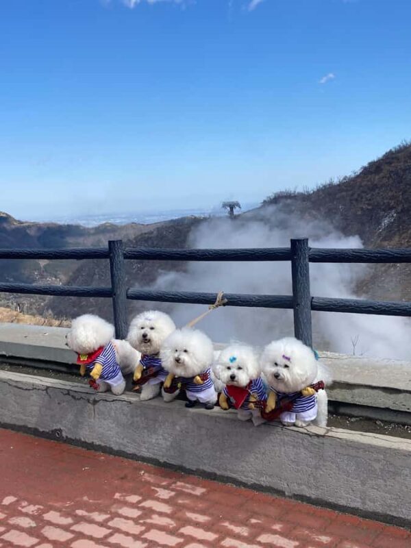 Hakone Private Tour: Bespoke Day from Your Hotel - Final Thoughts