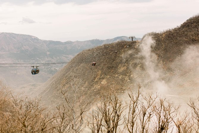 Hakone Private Two Day Tour From Tokyo With Overnight Stay in Ryokan - Highlights of the Tour