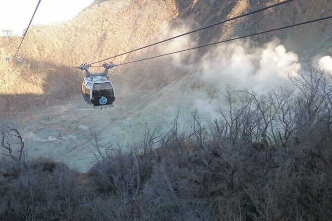 Hakone Scenic Adventure Nature and Tranquil Journey - Final Verdict