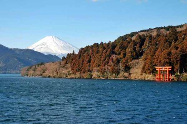 Hakone: Self Guided Trip to Mt. Fuji // Made by Local Guides - Transportation Considerations