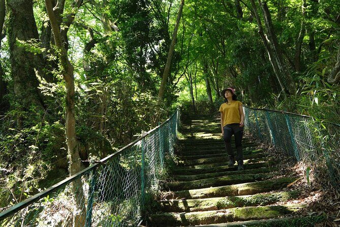 Hakone Valley Hike, Forest Bathing and Wagashi shop (Half-day) - Practical Details & Tips