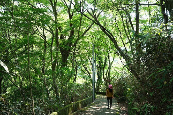 Hakone Valley Hike, Forest Bathing and Wagashi shop (Half-day) - Who Will Love This Experience?