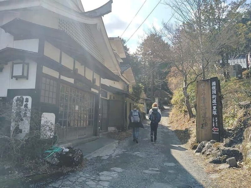 Hakone: Yosegi Zaiku Craft Experience - Who Should Consider This Tour?