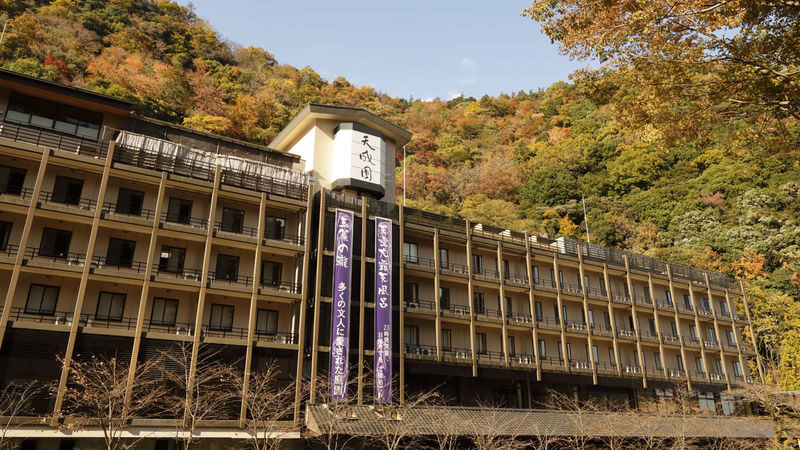 Hakone Yumoto Onsen Tenseien Admission Ticket (Hakone) - Take a breather in the garden