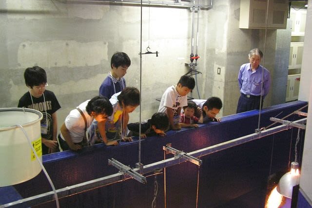 Hakoneen Aquarium Admission Ticket in Hakone - How long to spend and what the ticket covers