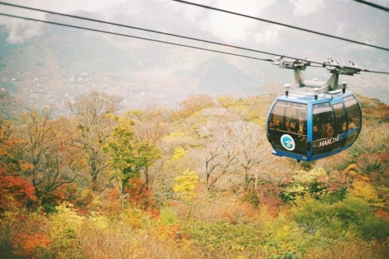 Hakone&Mt. Fuji Day Trip: Ropeway, Owakudani, Oshino Hakkai - FAQ