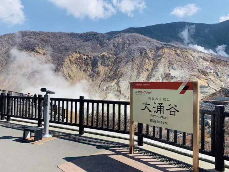 Hakone&Mt. Fuji Day Trip: Ropeway, Owakudani, Oshino Hakkai - The Sum Up