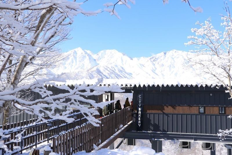 Hakuba Iwatake Lift Ticket with Ski/Snowboard Rental - Picking a package that fits your day