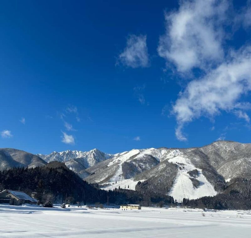 Hakuba: Onsen and Izakaya Night Tour with Dinner - Starting Point: Hassle-Free Pickup