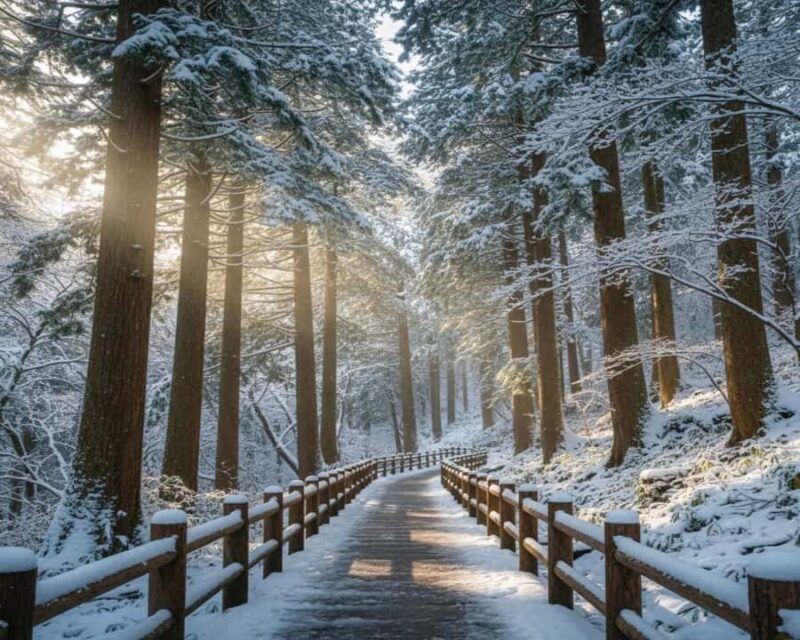 Hakuba: Snow Monkeys and Alpine Escape Private Tour - An In-Depth Look at the Hakuba Snow Monkeys and Alpine Escape Tour