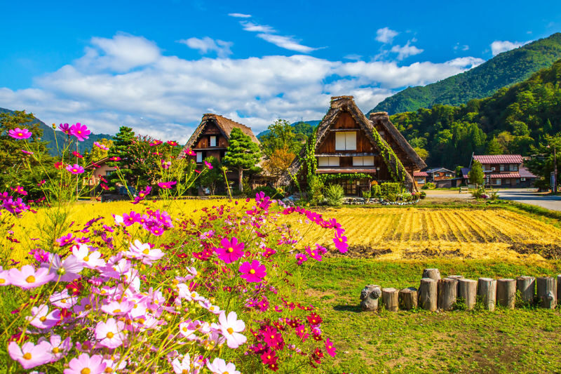 Hakusan Shirakawa-go White Road & Shirakawago One-day UNESCO site & Autumn Tour - A day that links mountain scenery with a UNESCO stop