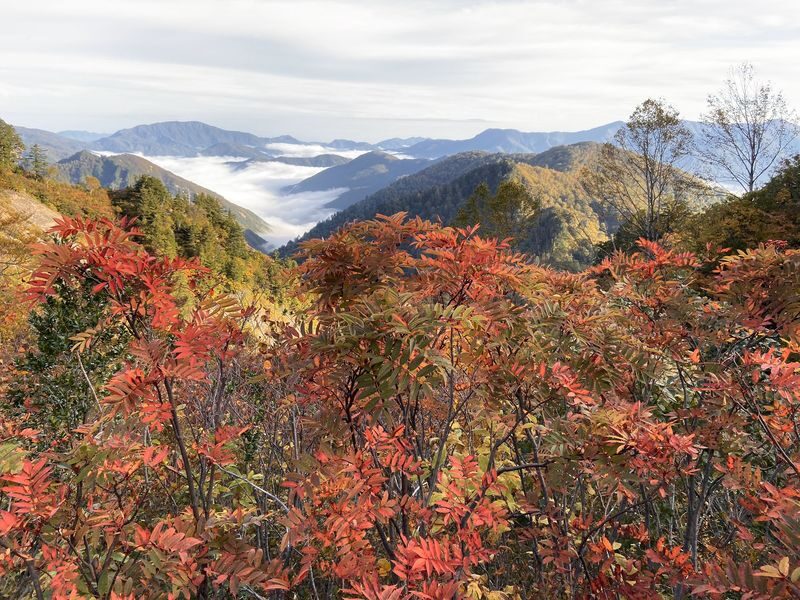 Hakusan Shirakawa-go White Road & Shirakawago One-day UNESCO site & Autumn Tour - Time in Shirakawago