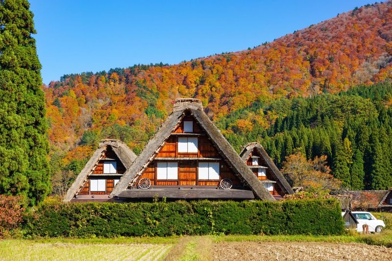 Hakusan Shirakawa-go White Road & Shirakawago One-day UNESCO site & Autumn Tour - The guide and the day’s rhythm