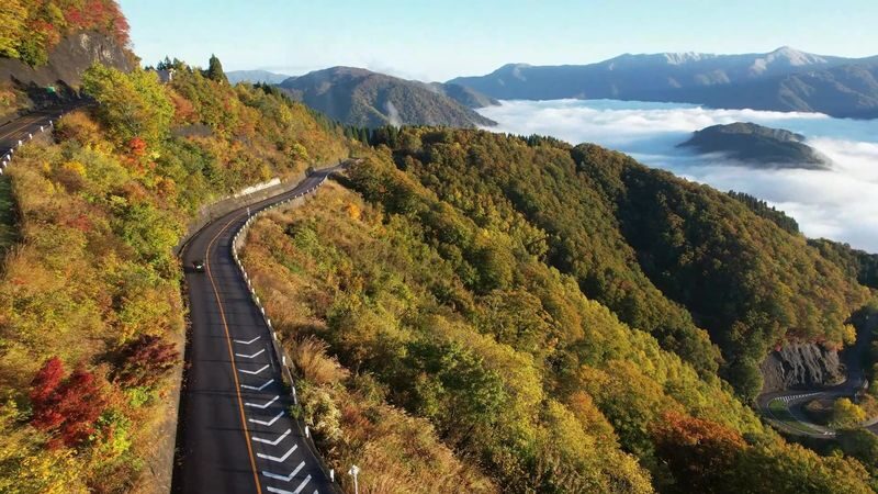 Hakusan Shirakawa-go White Road & Shirakawago One-day UNESCO site & Autumn Tour - Is $107.20 good value?