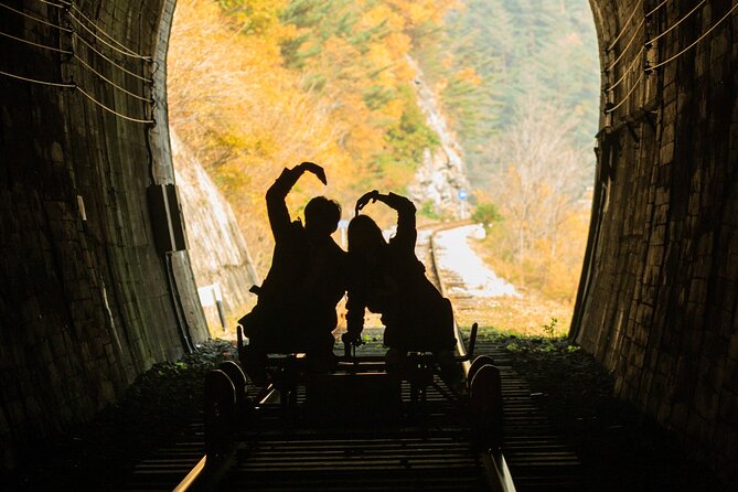 Halal-Nami Island & Central Mosque & Petite France & RailBike - Scenic Views and Photo Opportunities